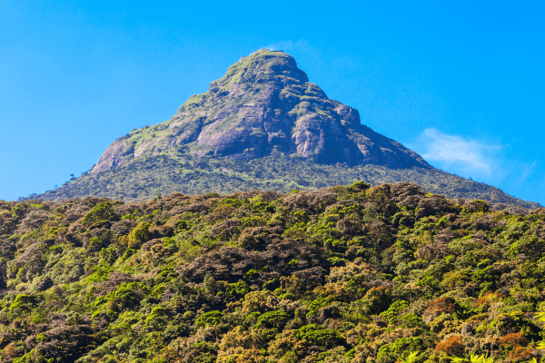 Adam's Peak